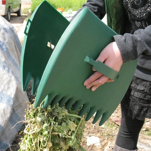 Garden leaf weed - garden, &